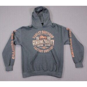 Harley-Davidson Men Long Sleeve Gray Pullover Hoodie Avalanche Golden Colorado M